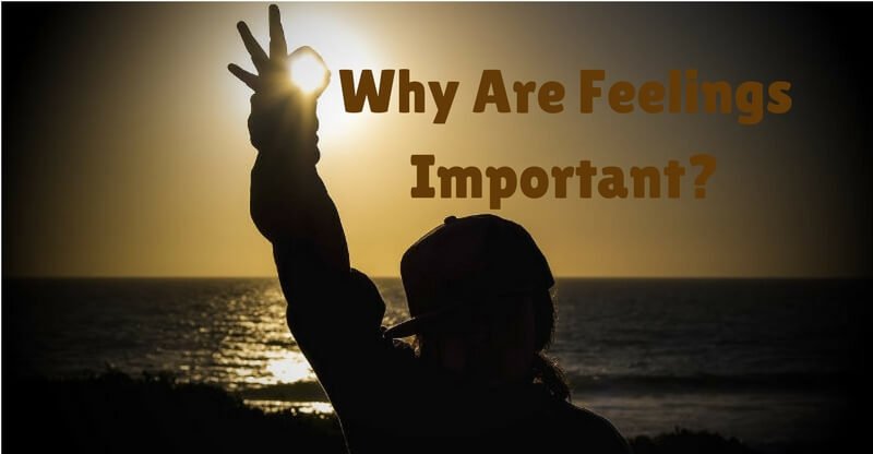 Why are Feelings Important? 2 why are feelings important